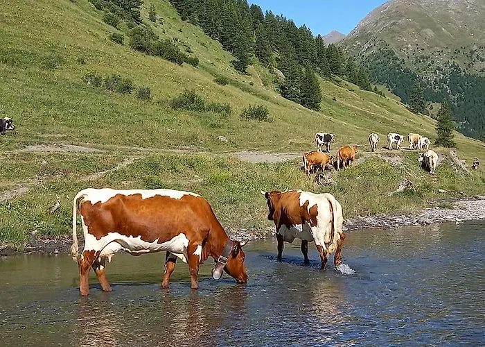 Cesana Pearl Apartment Cesana Torinese